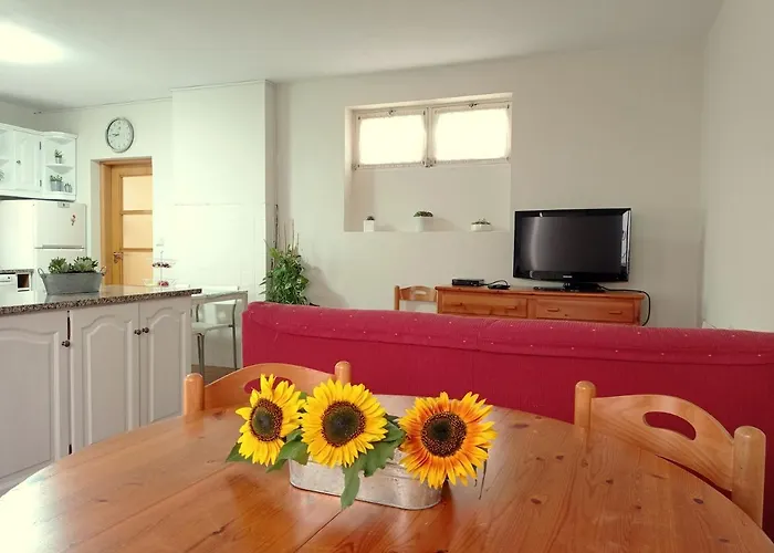 Cerqueira's House Вила-Нова-ди-Сервейра